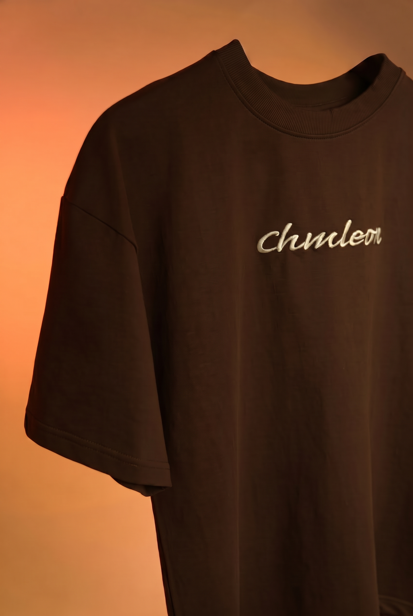 CRAYON BROWN Boxy fit tee
