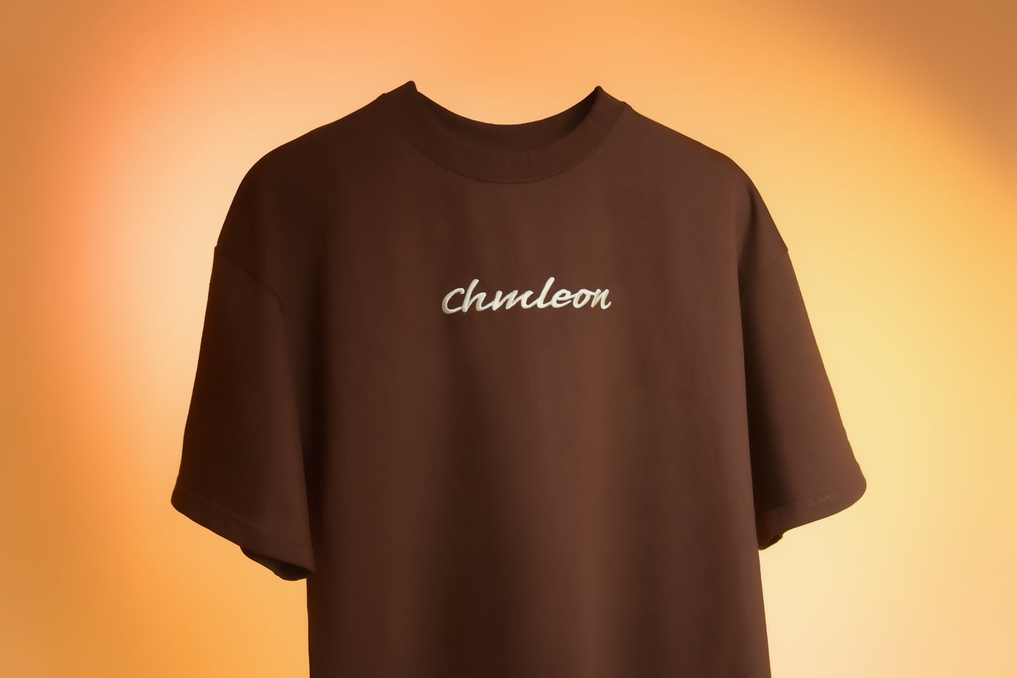 CRAYON BROWN Boxy fit tee