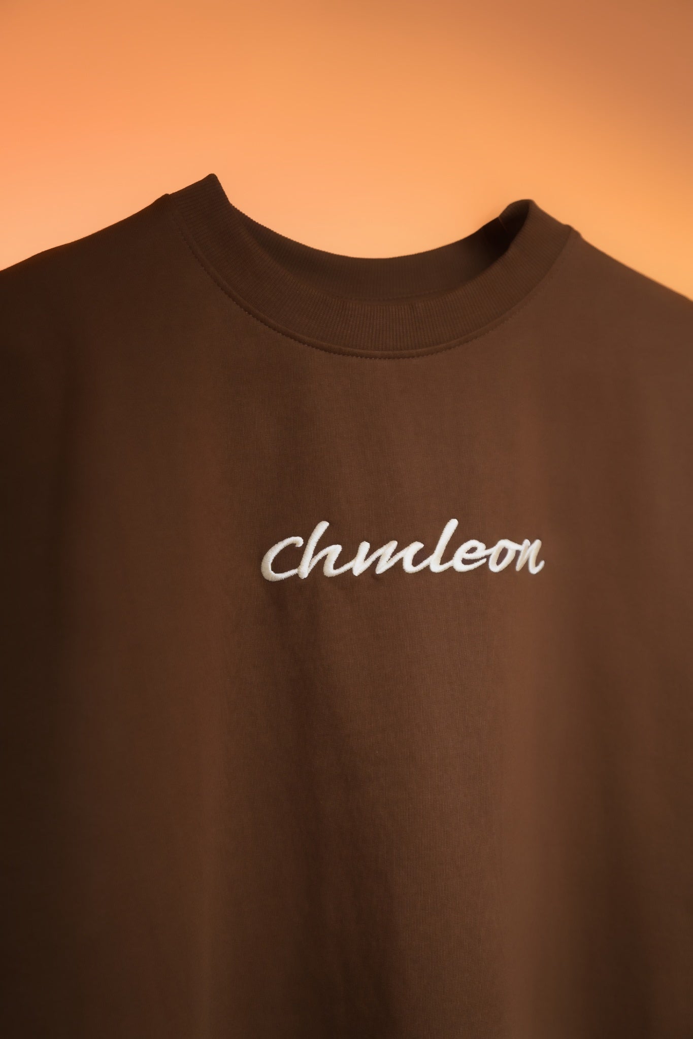 CRAYON BROWN Boxy fit tee
